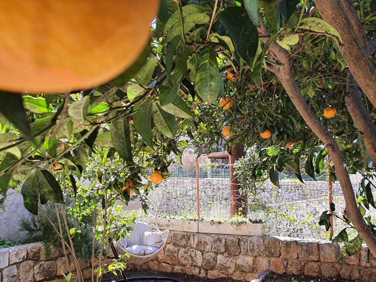 Barbara'S Garden Apartment Dubrovnik Luaran gambar